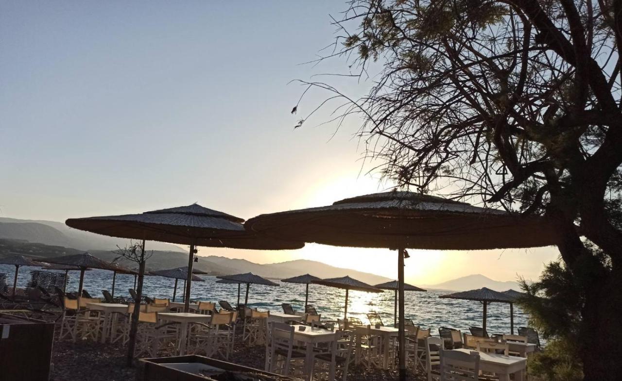 Ξύλινη Παραθαλάσσια Κατοικία Με Κήπο Αίγιο Εξωτερικό φωτογραφία