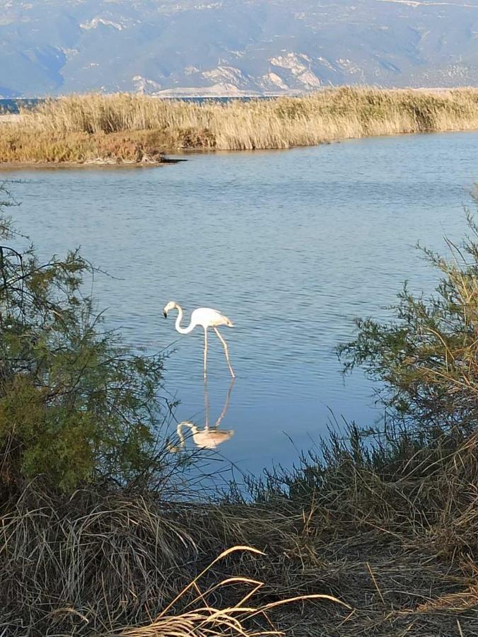 Ξύλινη Παραθαλάσσια Κατοικία Με Κήπο Αίγιο Εξωτερικό φωτογραφία